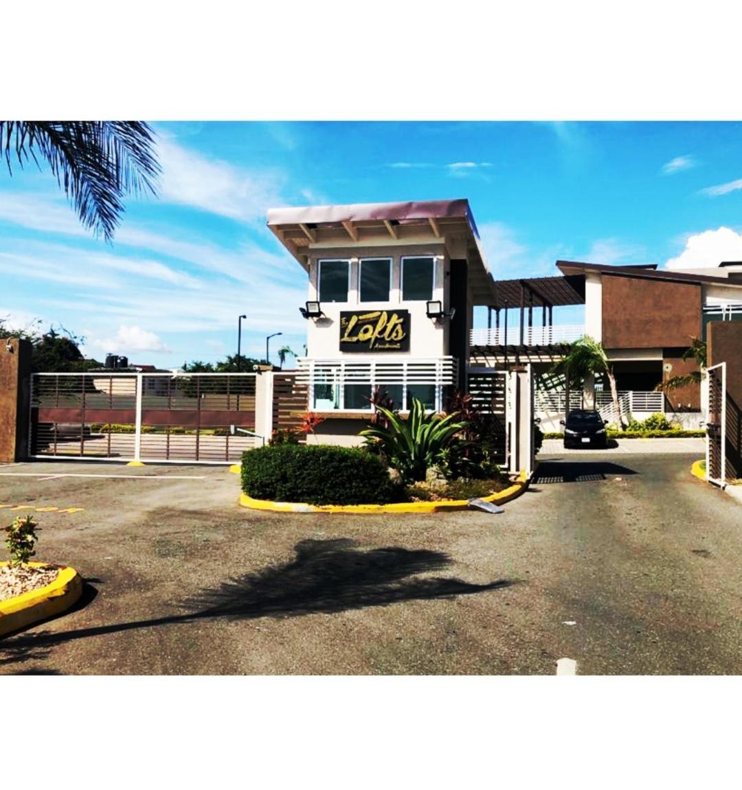 Lovely 2 Bedroom C̅ Netflix Across National Stadium Kingston Buitenkant foto